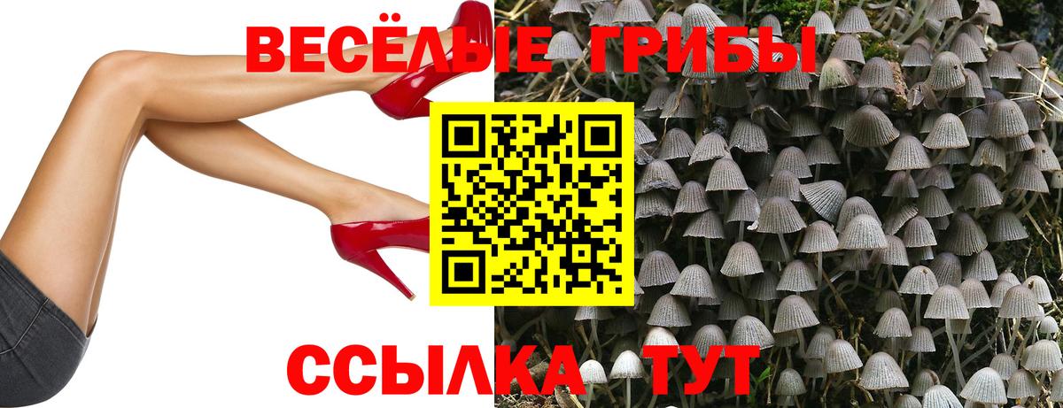 Ликино-Дулёво  Галлюциногенные грибы Magic Shrooms  Вход с VPN 